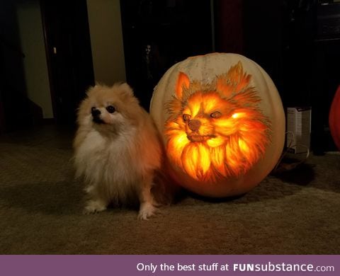 A dog-o-lantern!