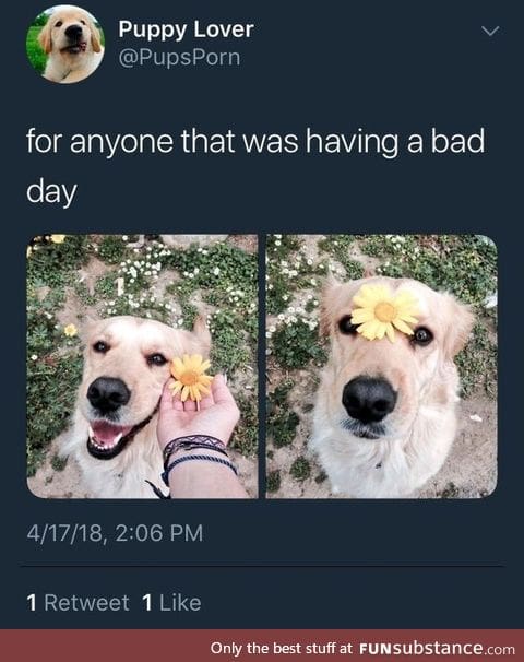 Have a great day