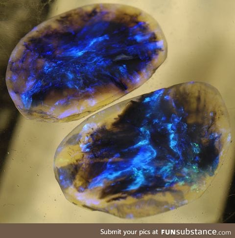 Black opals