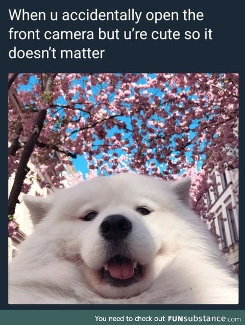 Adorable