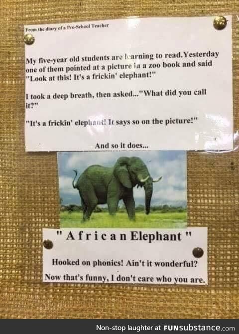 A frickin’ elephant