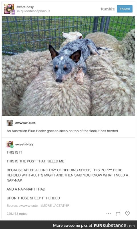 Well-deserved rest
