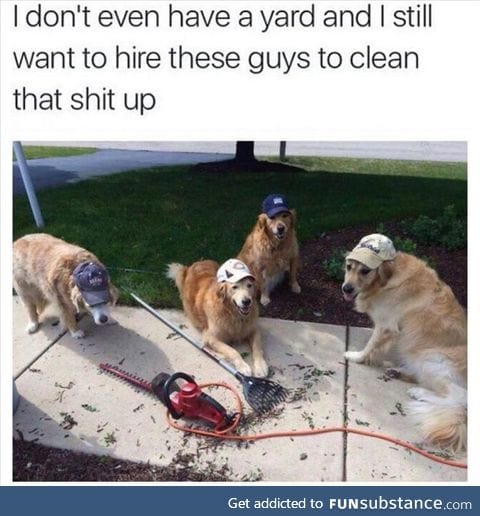 Hired!