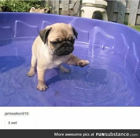 *smol tap*