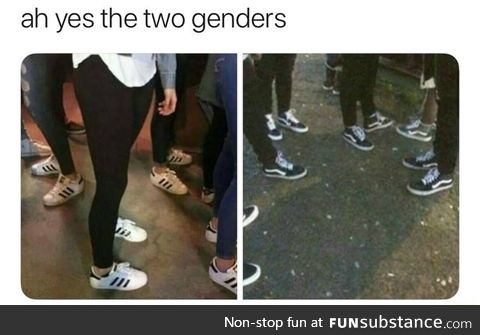 There are only 2 genders