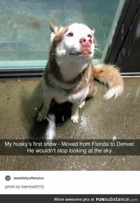 Snow