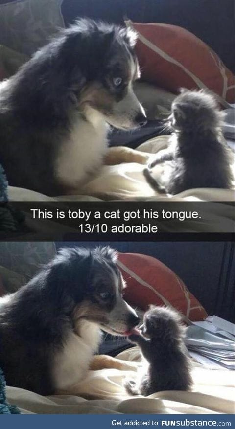 blep