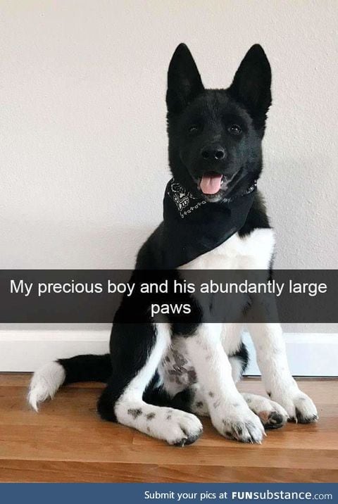 Handsome