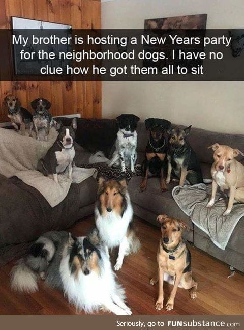 Best kind of party