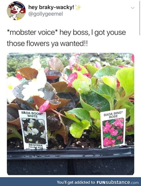 Got these rose