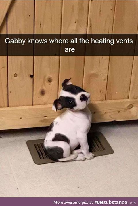 Too cute