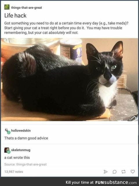 Advice