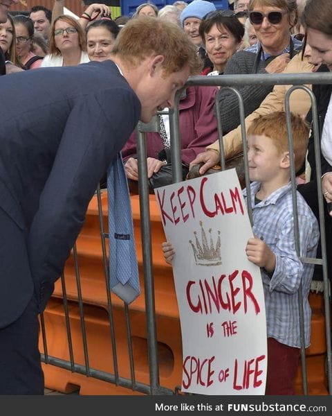 Prince Harry meets a fellow ginger