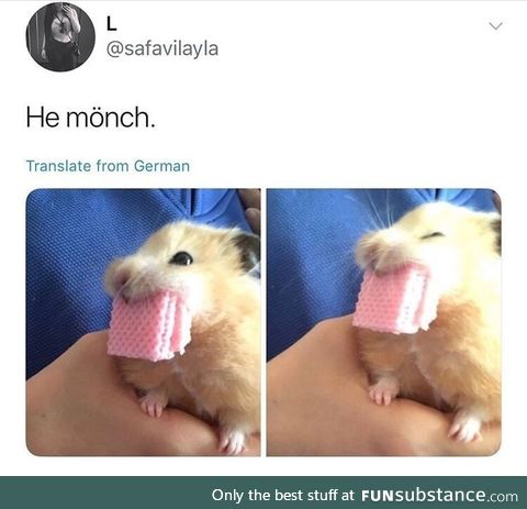 Frog does a big bite