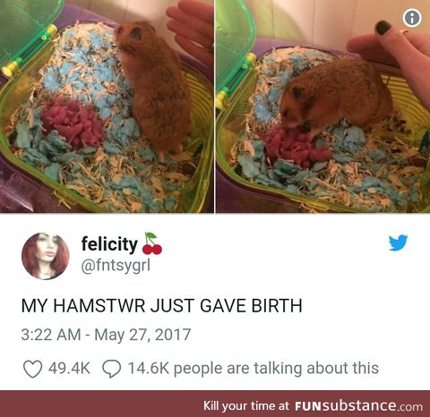 So smol