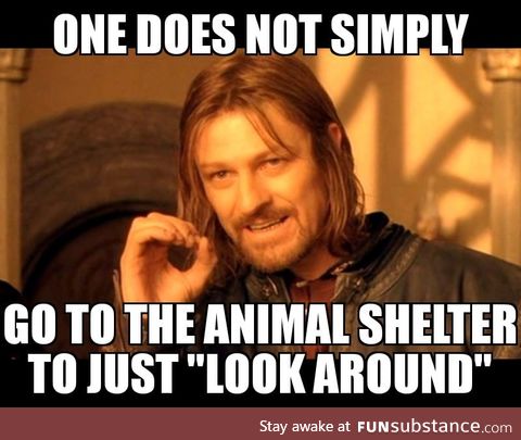 It only ever ends one way