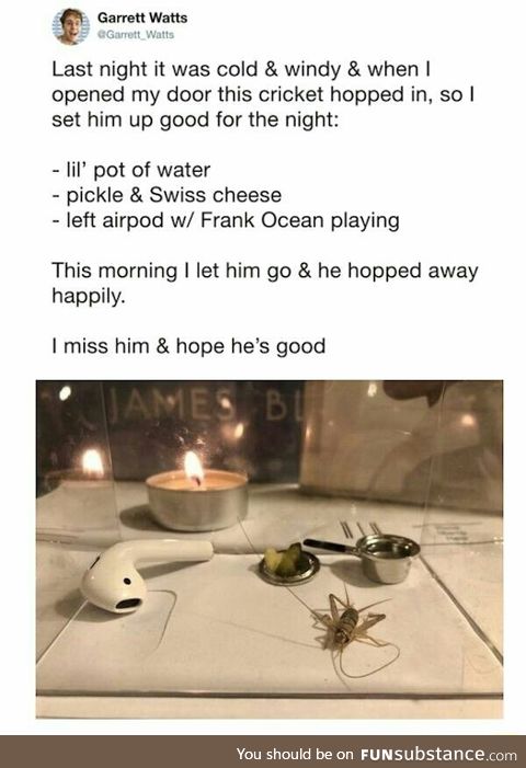 Great hospitality
