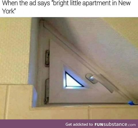 I <3 daylight