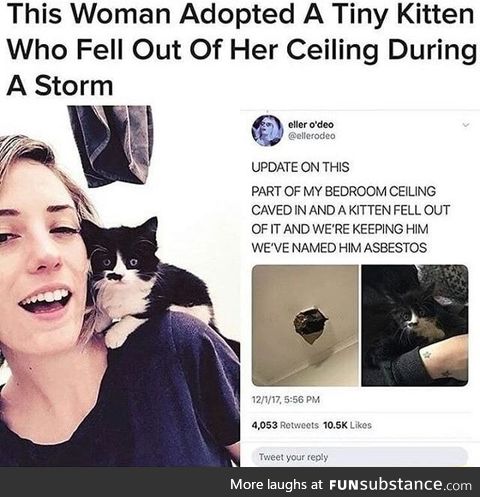 This woman adopted a tiny kitten who fell out of her ceiling during a storm
