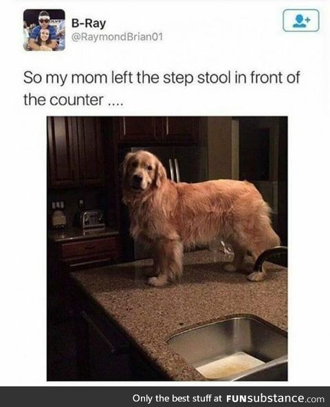 Short cutie