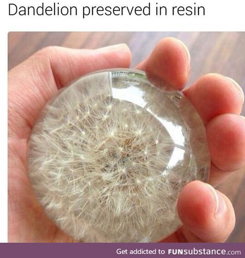 This is kinda neat
