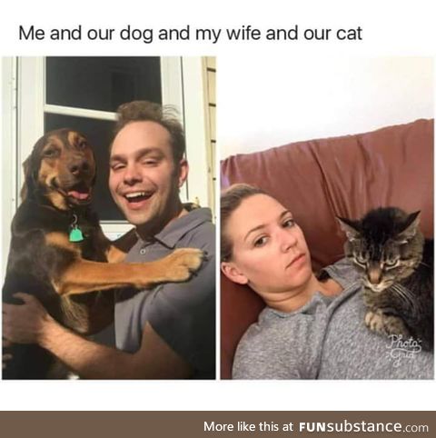 Pets do understand