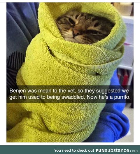 Purrito