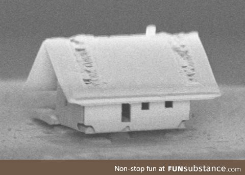 The world's smallest house - assembled inside a scanning electron microscope’s vacuum