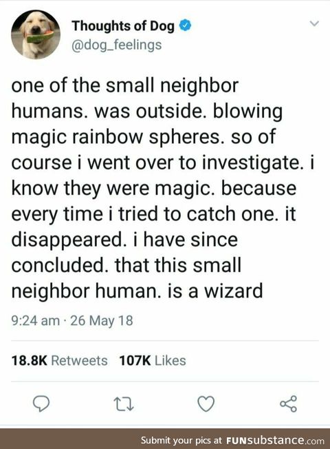 Human does magic