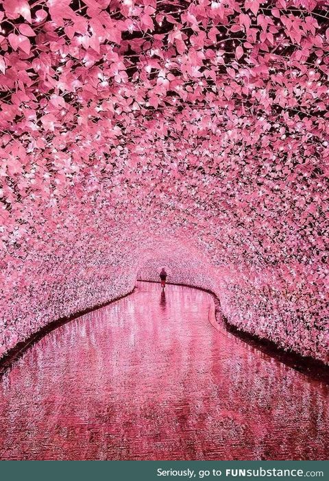 Illuminated tunnel in Mei, Japan