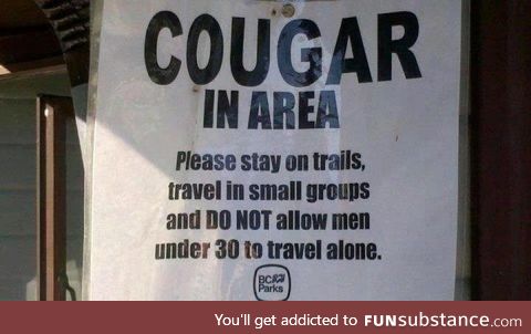 Cougar in Area