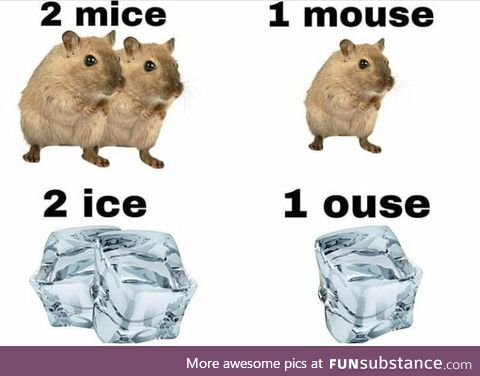 Two mice, one mouse, two rice, one rouse