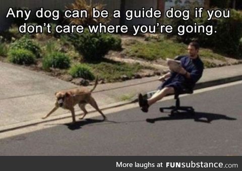Automatic guide dog