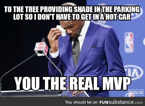 Thank you trees