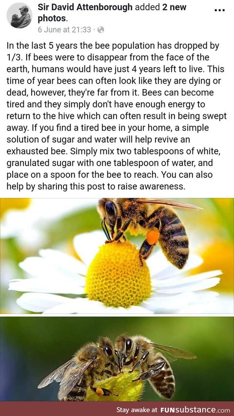 We need them bees