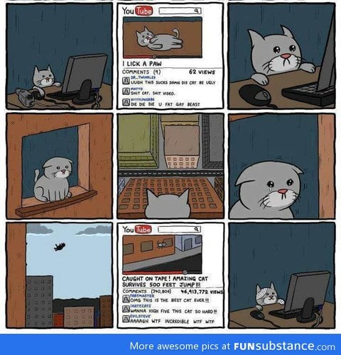 Cat views