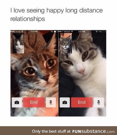 LDR