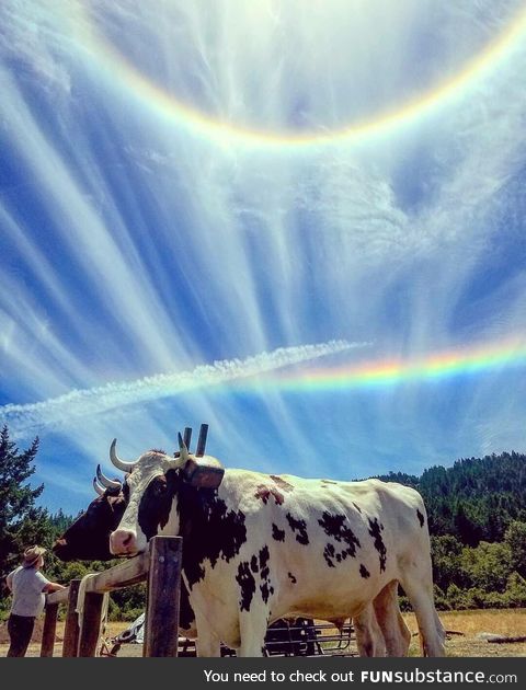 Double Sunbow in Beautiful Northern California