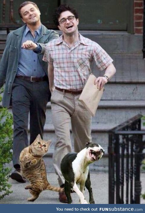 Think I'll take a walk in the park, Hey, Hey, Hey, It's a Beautiful Day