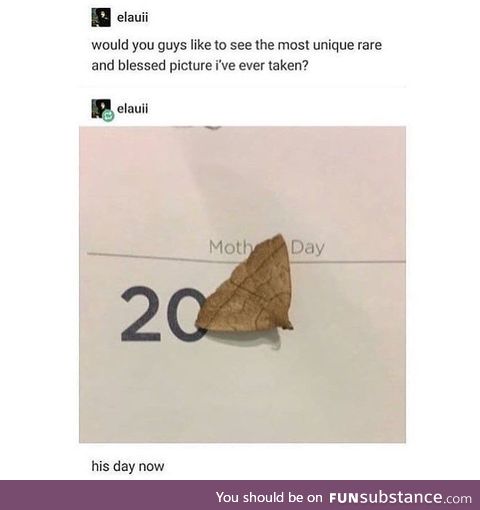 It's his day, now. (Moth Day)