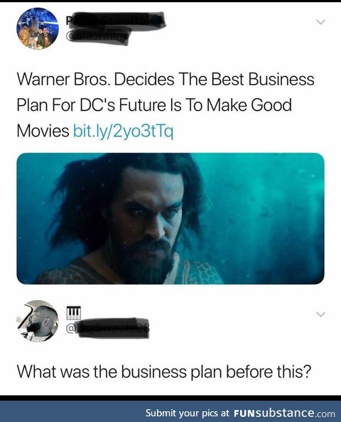 Questionable business plan