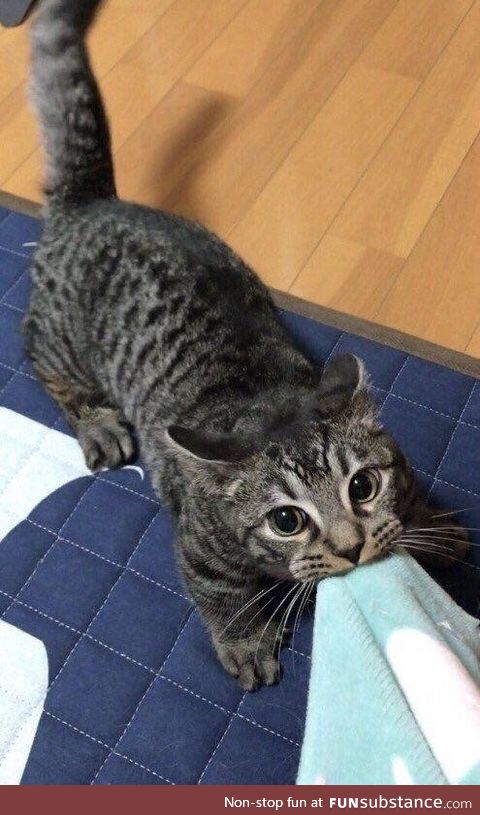 "stay here and cuddle me!"