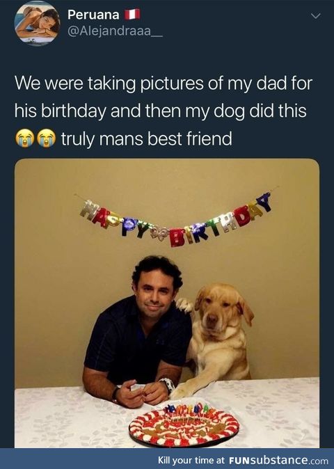 I'm your buddy