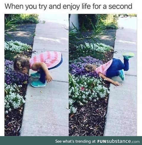 "Stop and smell the flowers," they said. "Try and enjoy life for a second," they said.