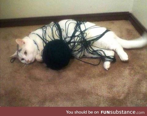 defeated.. the yarn was stronger.. :D