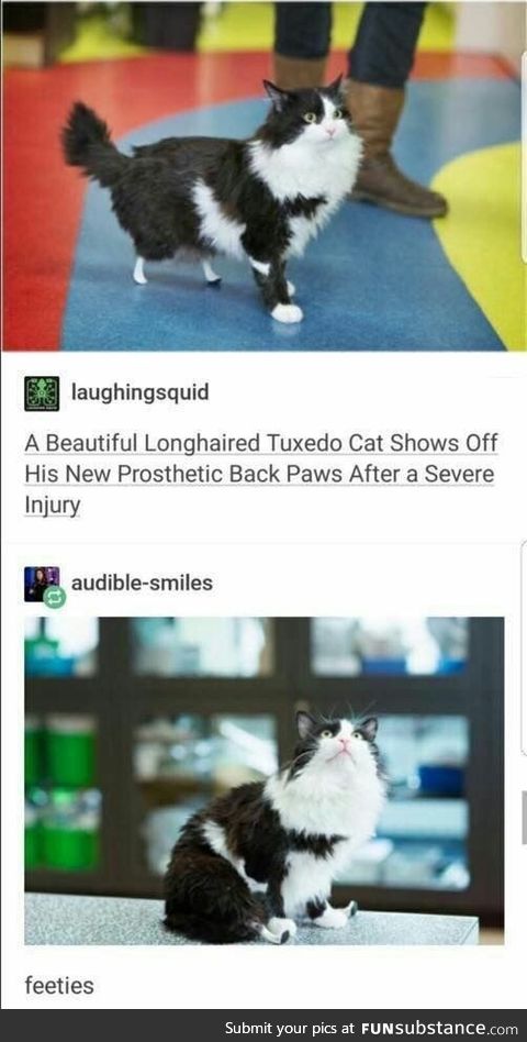 Beautiful