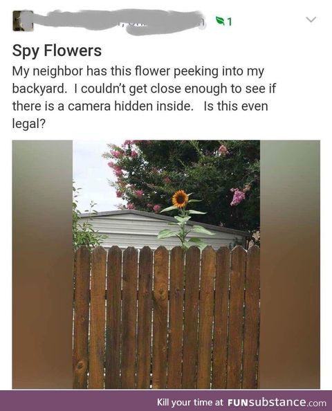 Smh... I hate it when my neighbors plant SpyFlowers :/