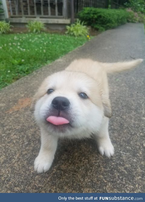 blep :P!