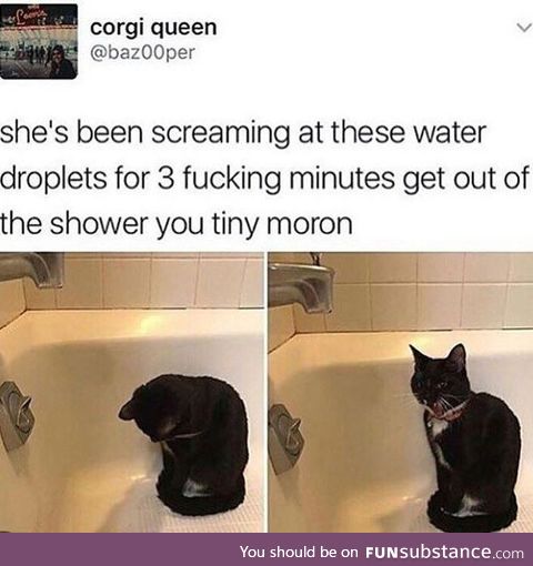 Tiny moron