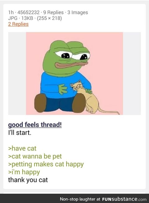 Anon has a cat